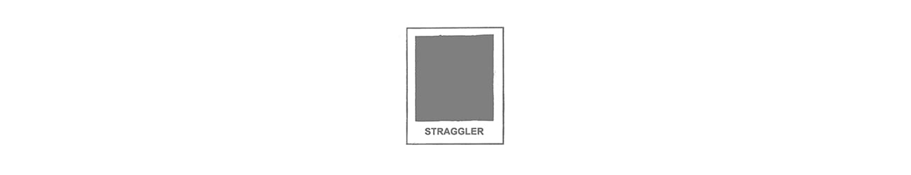 borderline straggler