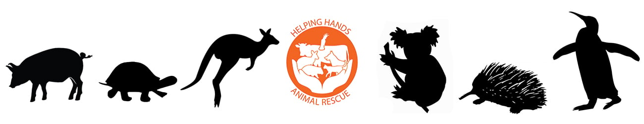 Helping Hands Animal Rescue