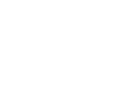 Vandammage
