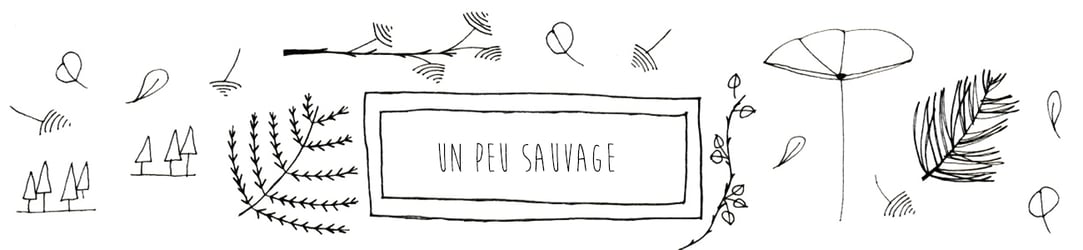 Un Peu Sauvage 