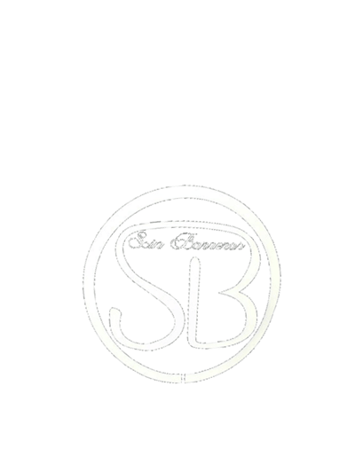 Sin Barreras