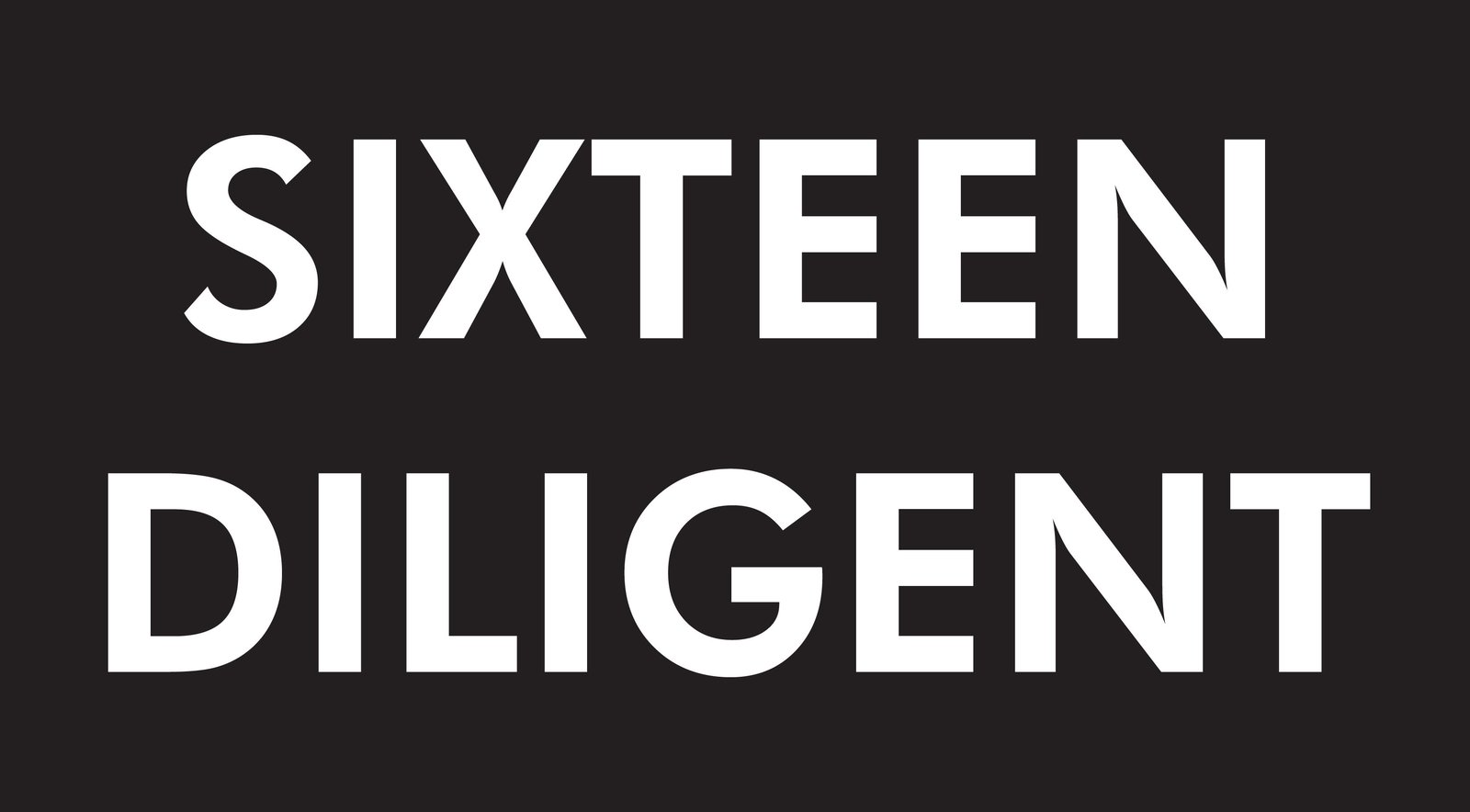 Sixteen Diligent