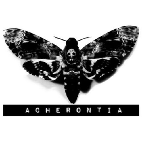 ACHERONTIA