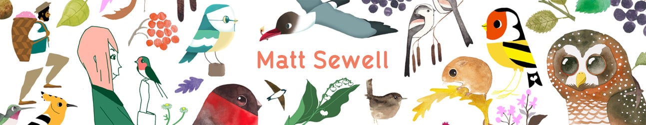 Matt Sewell