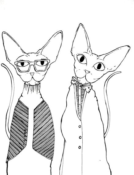 The Cat Shop