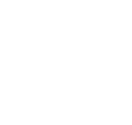 The Little Mouse
