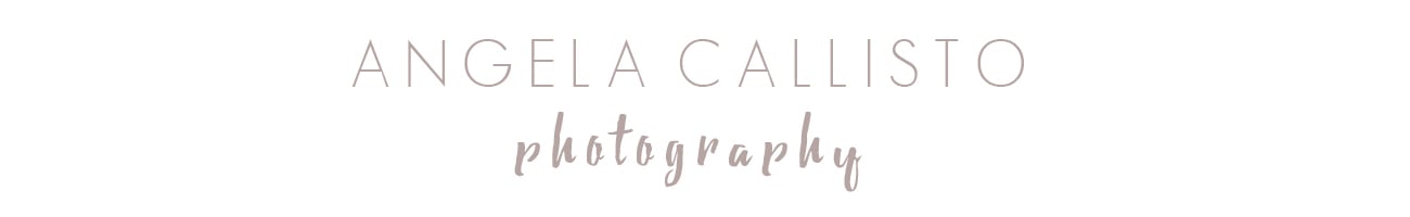 angela callisto photography inc