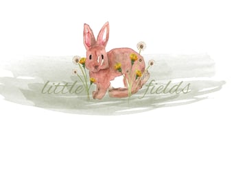 littlefields photography