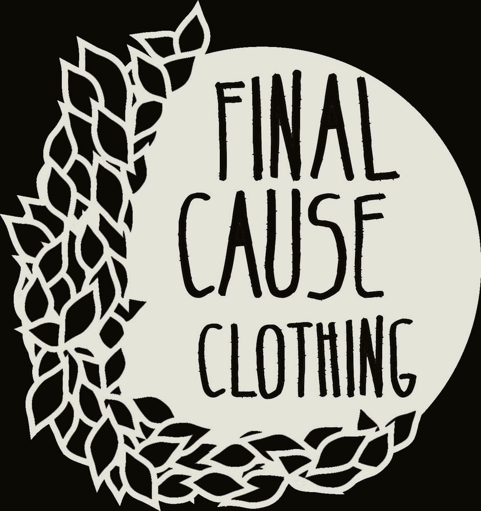 final causality final causality