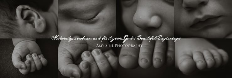 amy sine photography