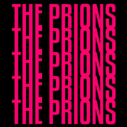 The Prions