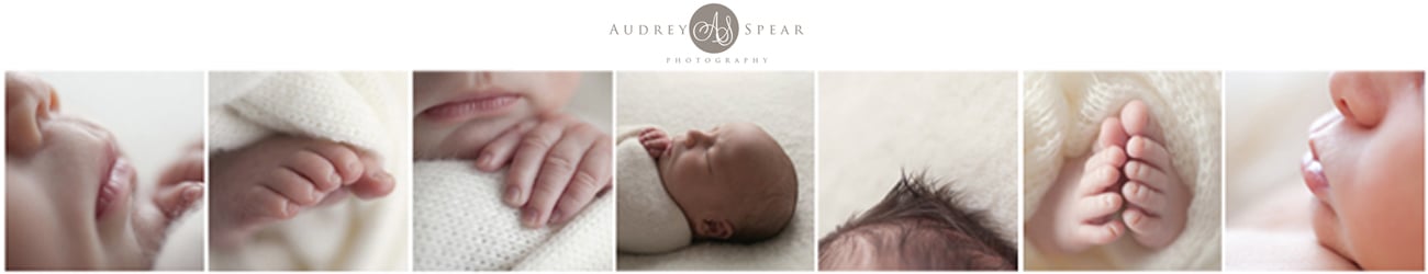 Audrey Spear Photography