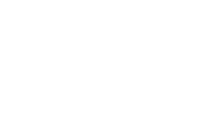 BRZ Sausage