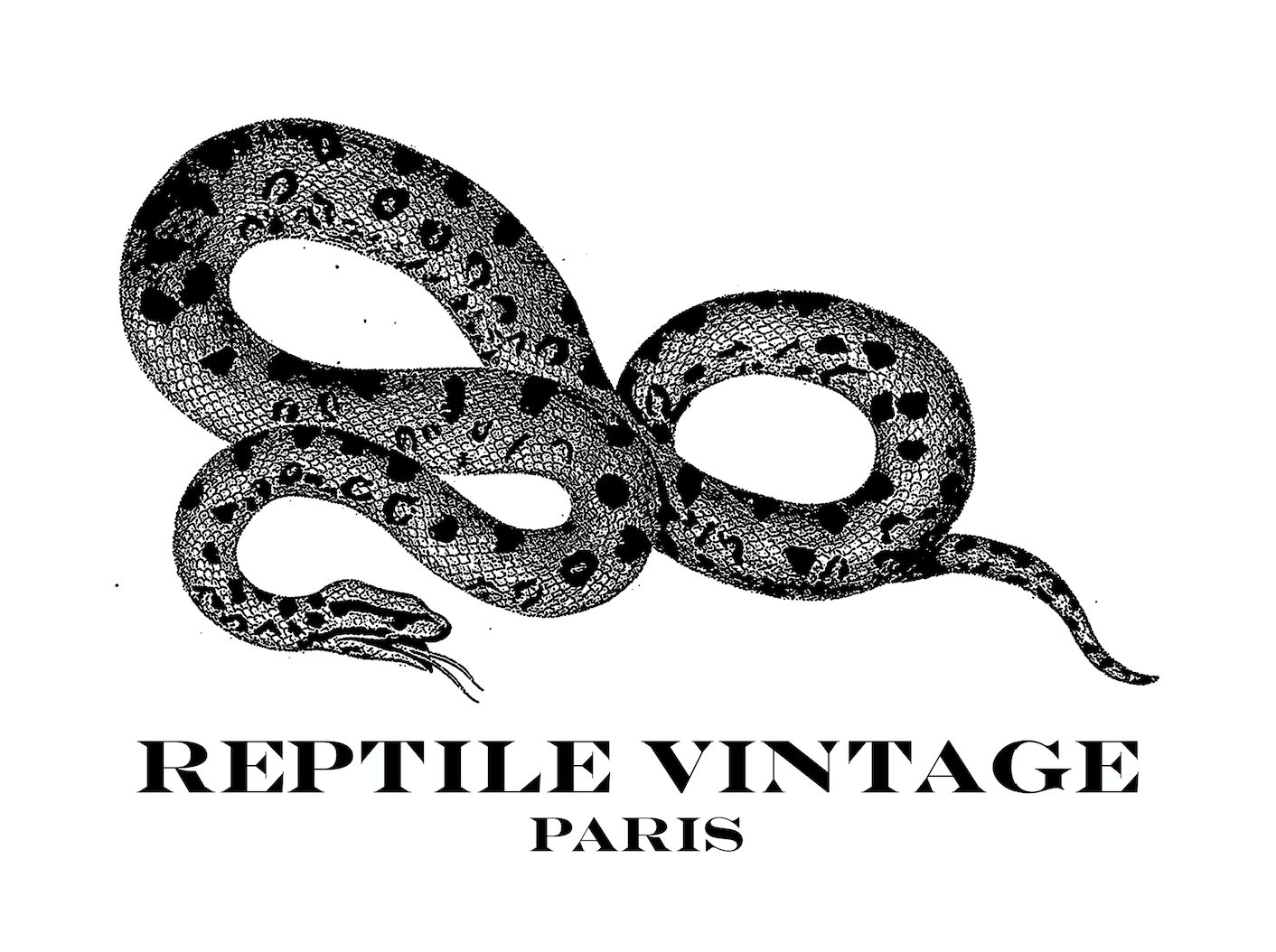 Reptile Vintage Paris