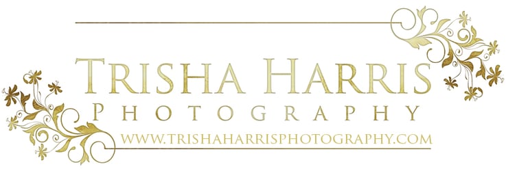 Trisha Harris Photography