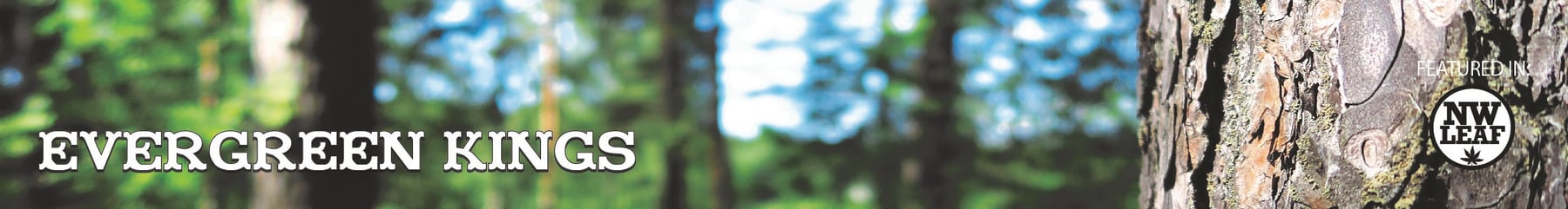 Evergreen Kings