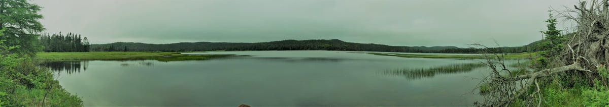 Knife in the Toaster