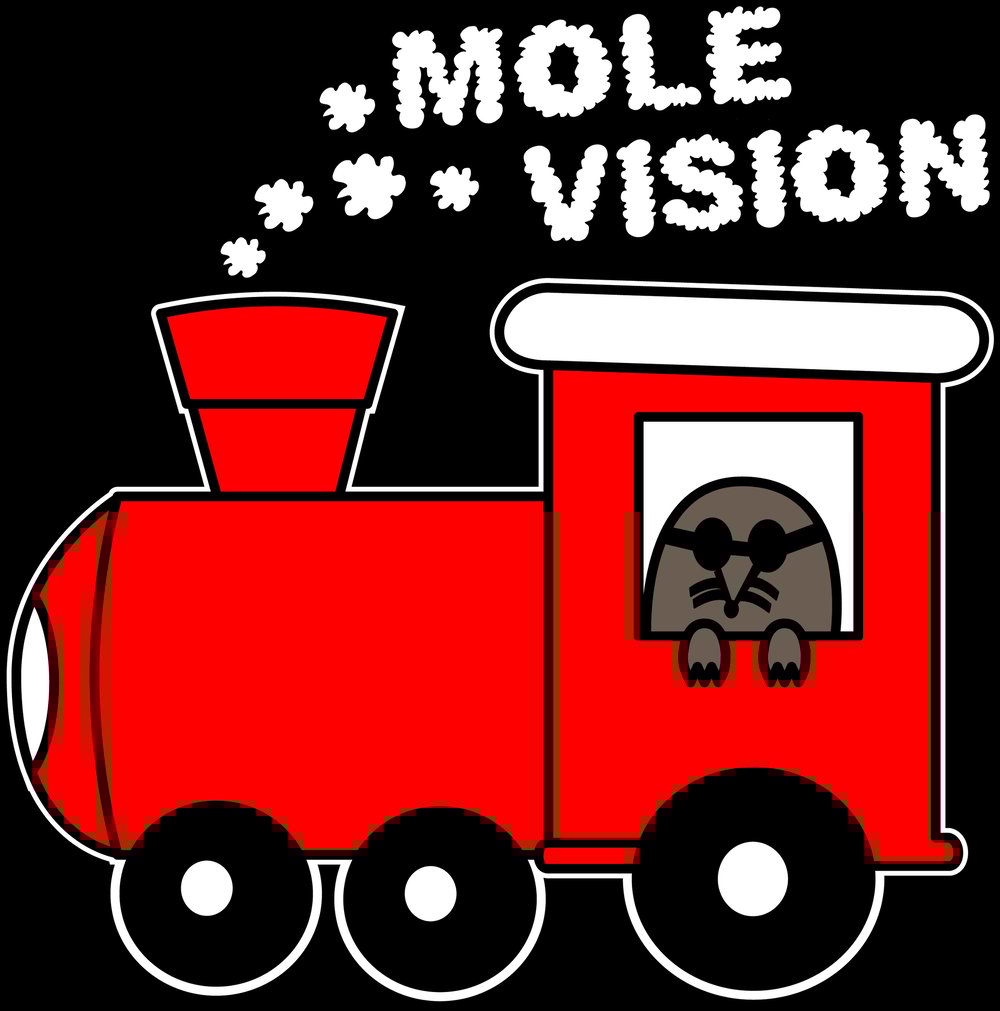 Mole Vision