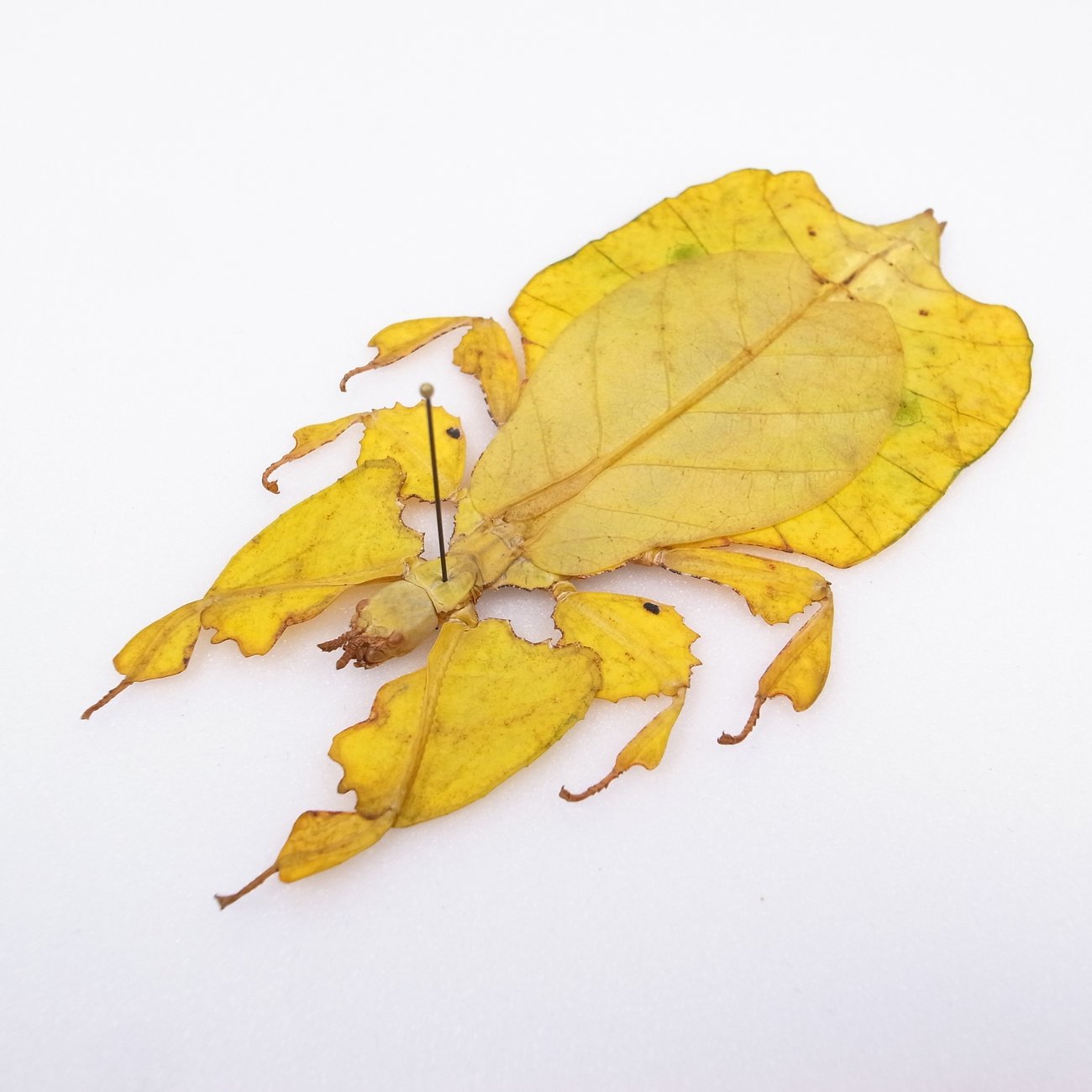 Slideshow image 9