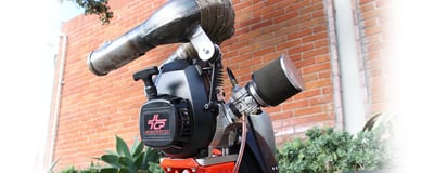 Slideshow image 6