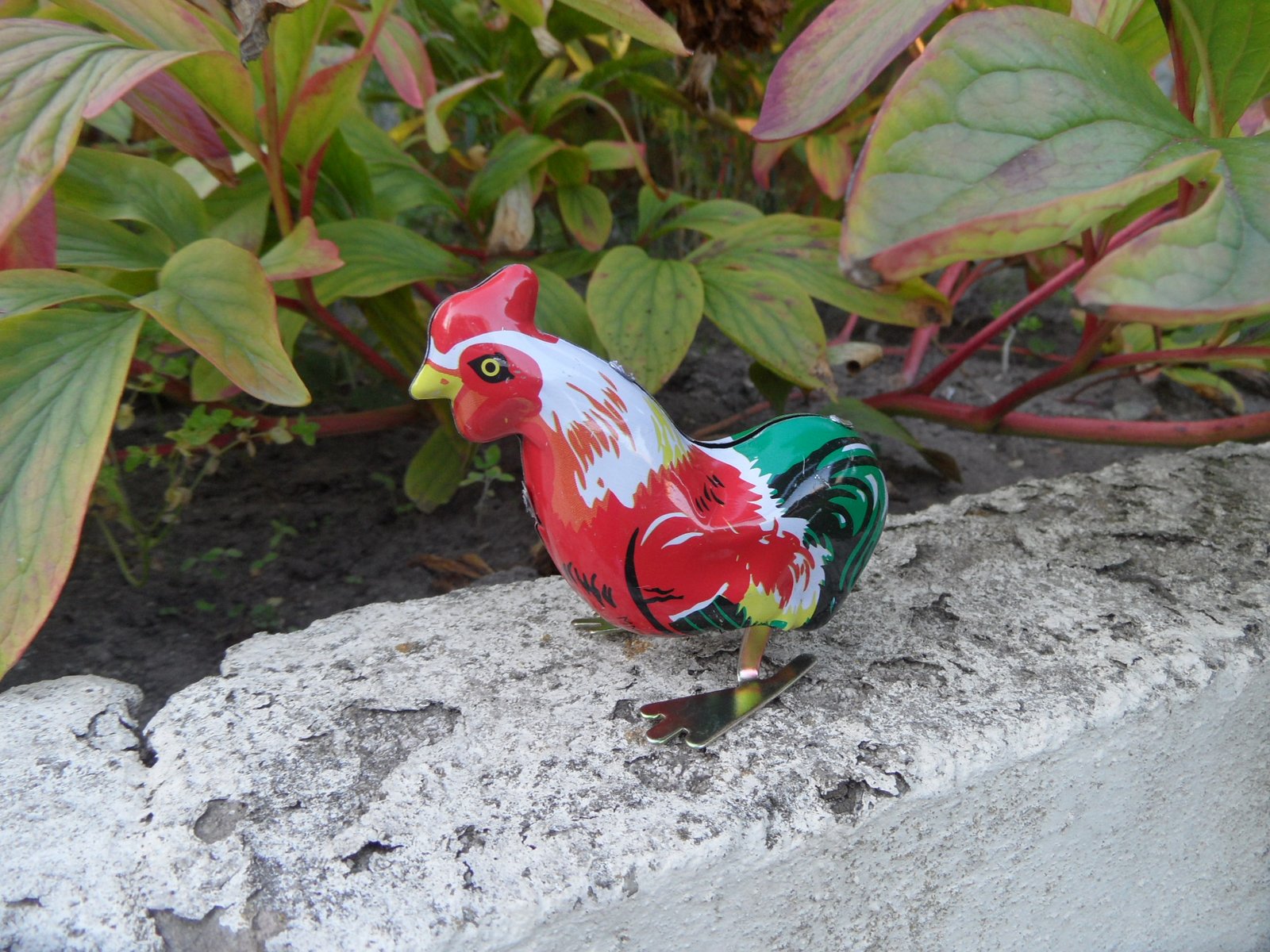 Home Mechanical Chicken Media