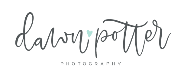 Dawn Potter Photography