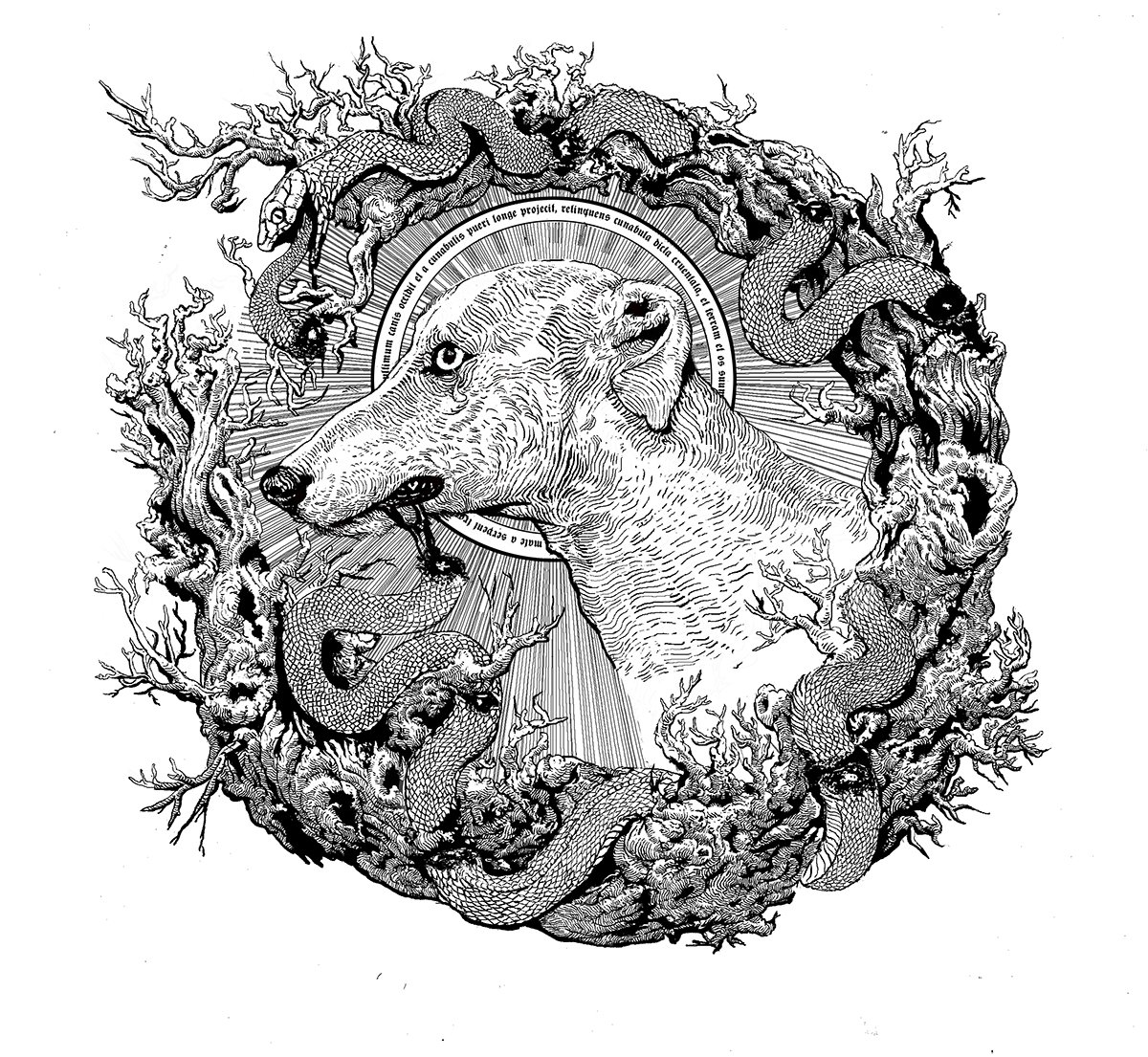 Slideshow image 1