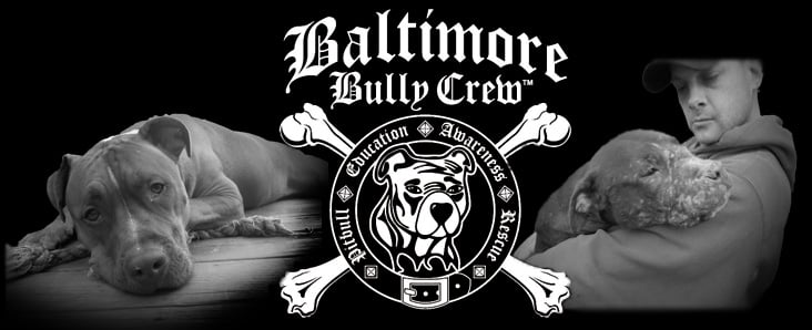 Bully best sale crew rescue