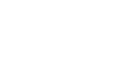 THE PLUG