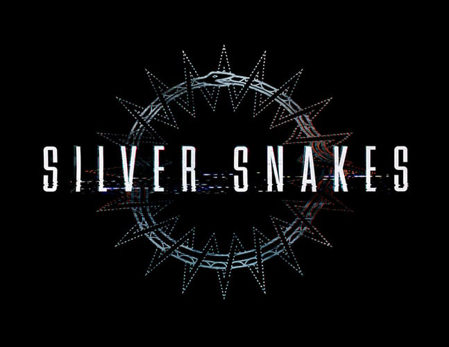 Silver Snakes