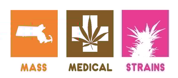 Mass Medical Shop