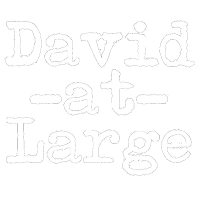 david-at-large