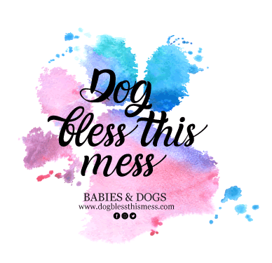 Dogblessthismess