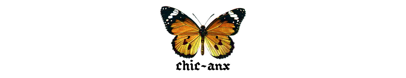 CHIC-ANX