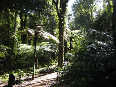Slideshow image 4