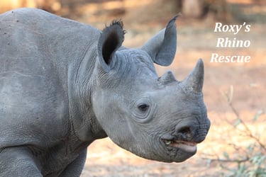 Roxy's Rhino Rescue