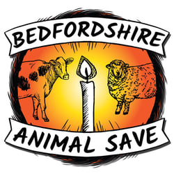 Bedfordshire Animal Save