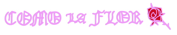 Como La Flor