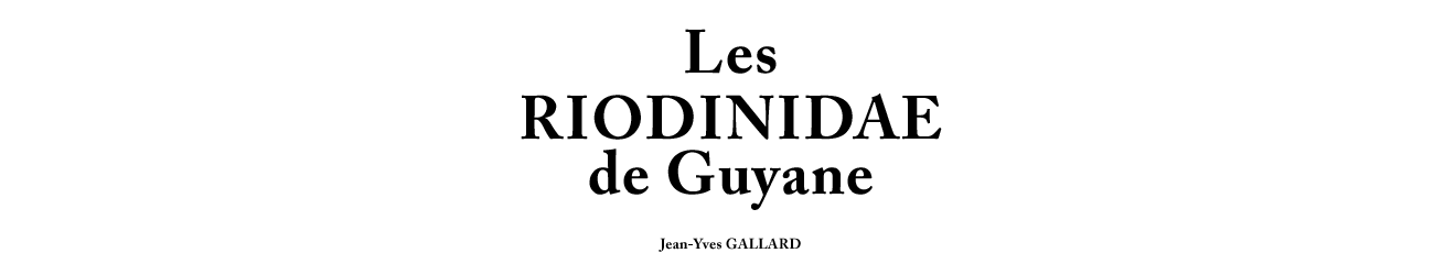 Les Riodinidae de Guyane / Riodinidae Book