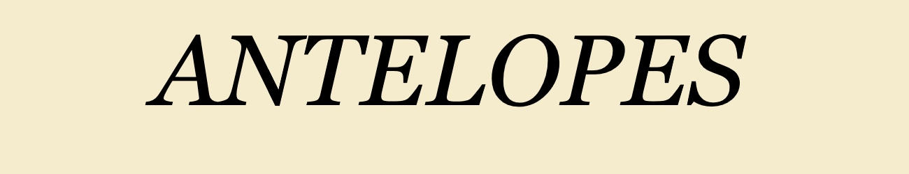 Antelopes