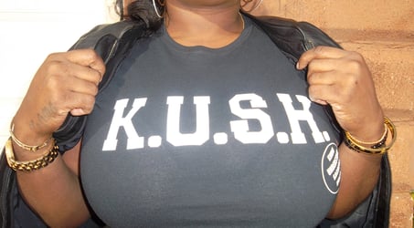 kushapparel.info