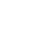 Vincent Roché art limited