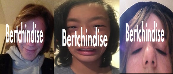 Bertchindise