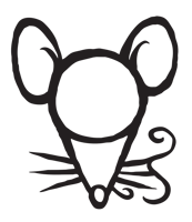 White Boy And The Average Rat Band