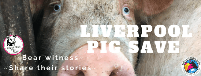 Liverpool Pig Save 