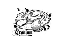 Thecraniumshop