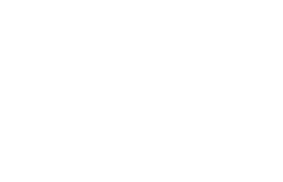 The Human Project