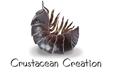 Crustacean Creation