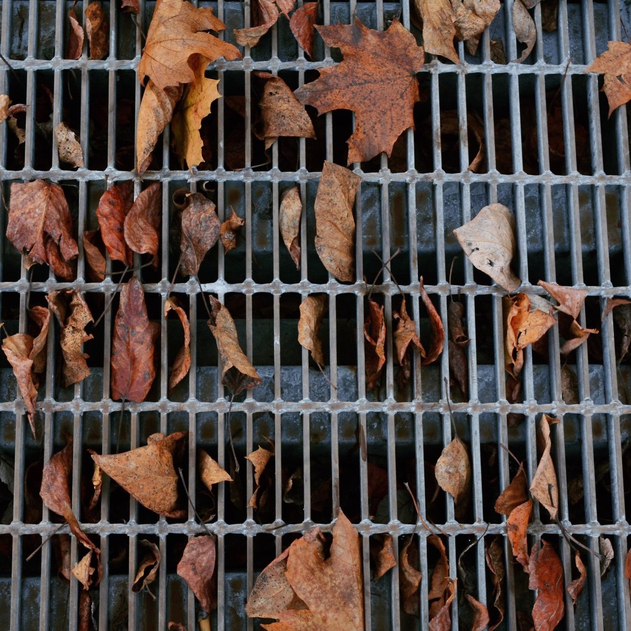 Slideshow image 3