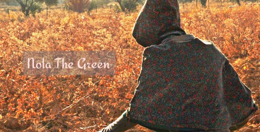 Hummingbird Jacket | Nola the Green